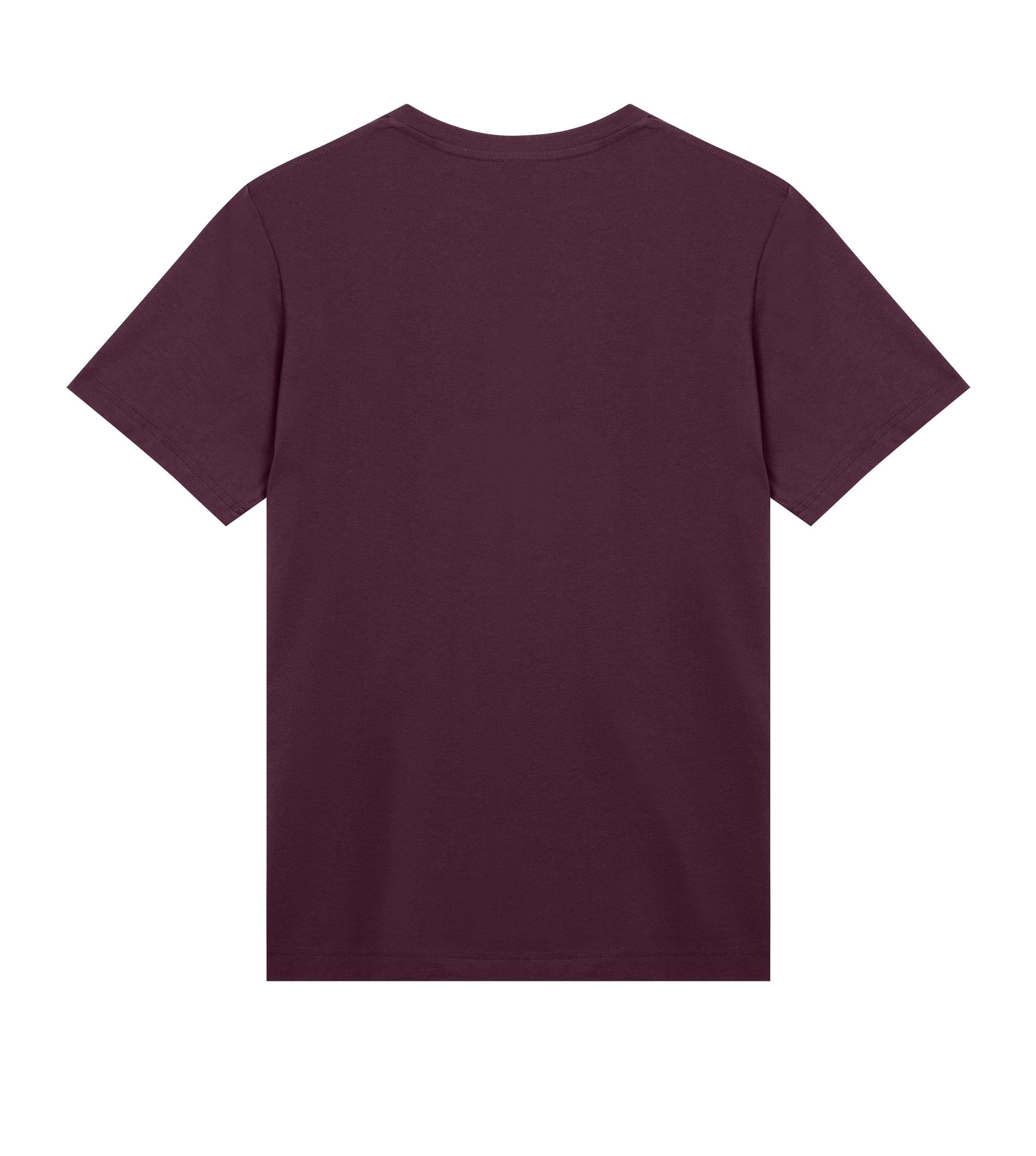 Men's Regular Tee - AW25d1