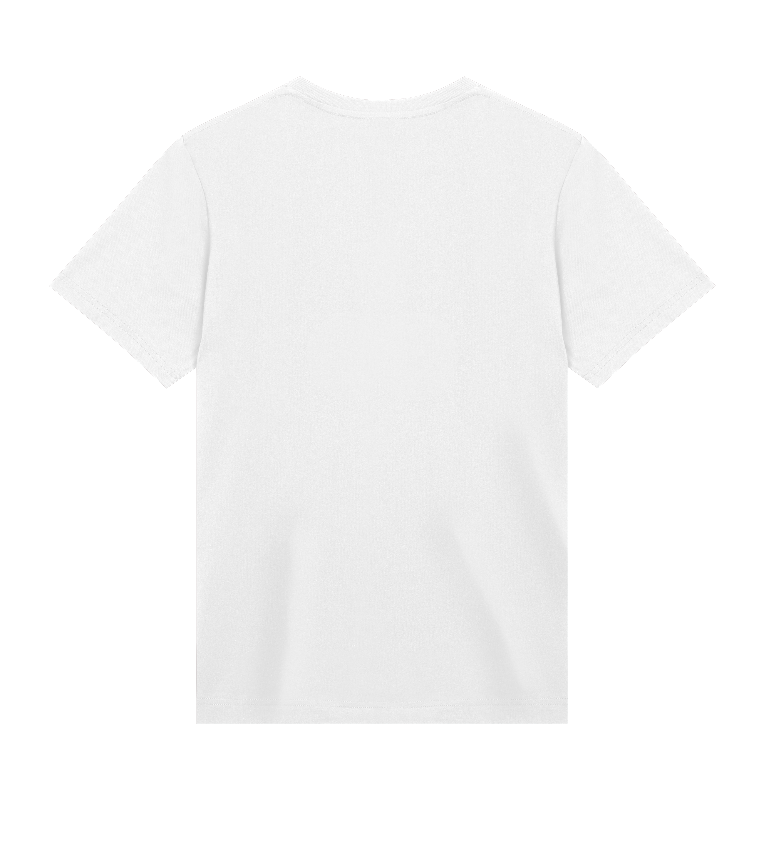 Men's Regular Tee - AW25d1